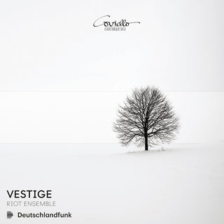the album cover for Behzadi / Catranis / Riot Ensemble - Vestige