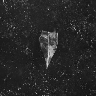 the album cover for Bees Made Honey in the Vein Tree - Aion