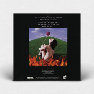Paula Cole- This Fire (Indie Exclusive Blue Vinyl)