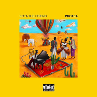 Kota the Friend- Protea
