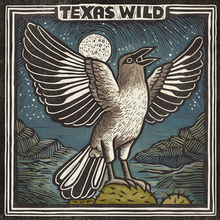 Various Artists- Texas Wild (Various Artists)