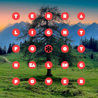 the album cover for Terra Lightfoot - Healing Power (Can)