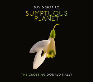 the album cover for Shapiro / Crossing - Sumptuous Planet