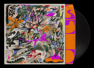 the album cover for Ibisco - Languore (Ita)