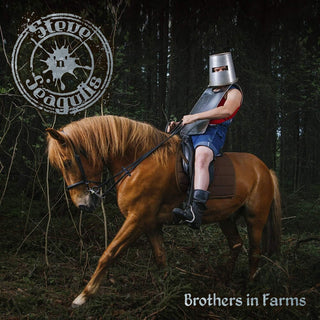 the album cover for Steve N Seagulls - Brothers In Farms