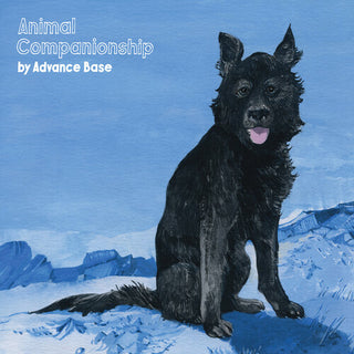 Avance Base- Animal Companionship