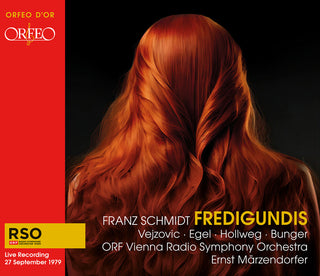 the album cover for Schmidt / Vejzovic / Hollweg - Fredigundis