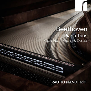 the album cover for L Beethoven .V. / Rautio Piano Trio - Piano Trios Op. 1 No. 3 Op. 11 & Op. 44