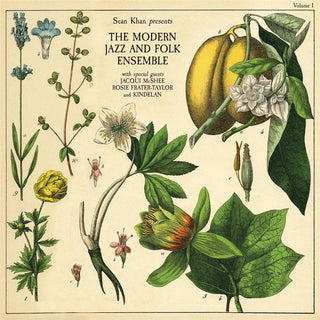 the album cover for Sean Khan - Sean Khan Presents The Modern Folk & Jazz Ensemble