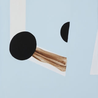 the album cover for Olli Ahvenlahti - Mirror Mirror