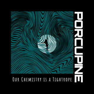 the album cover for Porcupine - Our Chemistry Is A Tightrope