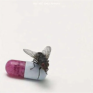 the album cover for Red Hot Chili Peppers - I'm With You [180 Gram]
