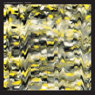 the album cover for Jim White  / Anderson,Marisa - Swallowtail [Clear Vinyl] (Ylw) [Indie Exclusive] [Download Included]