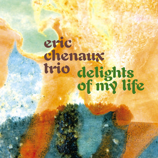 the album cover for Eric Chenaux  Trio - Delights Of My Life