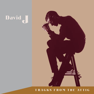 the album cover for David J - Tracks From The Attic (W/Cd) (Brwn) [Clear Vinyl]