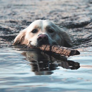 the album cover for Orebolo - Chateau (Blk) [Colored Vinyl] (Wht)