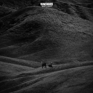 the album cover for NxWorries - Why Lawd? [LP]