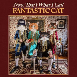 Fantastic Cat- Now That's What I Call Fantastic Cat