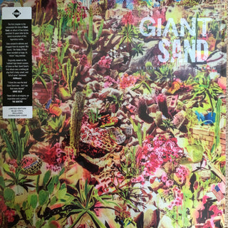 the album cover for Giant Sand - Returns To Valley Of Rain [Colored Vinyl] [Limited Edition] (Aus)