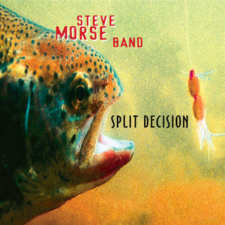 Steve Morse Band- Split Decision