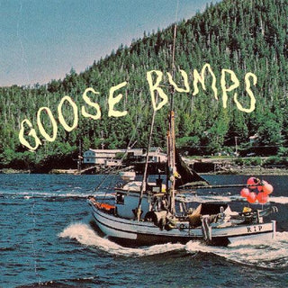 Boyscott- Goose Bumps