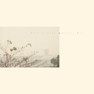 the album cover for Wild Nothing - Golden Haze - Golden Haze [Colored Vinyl] (Gol)