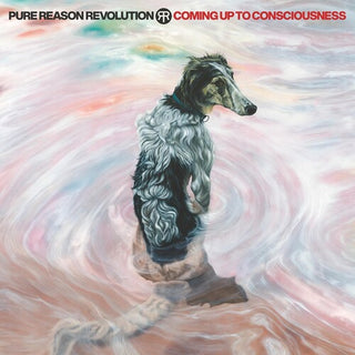 Pure Reason Revolution- Coming Up To Consciousness