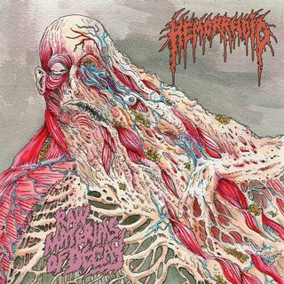 Hemorrhoid- Raw Materials Of Decay
