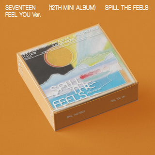 the album cover for SEVENTEEN - 12th Mini Album (Target Exclusive)
