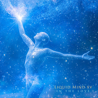 Liquid Mind- Liquid Mind XV: In The Love