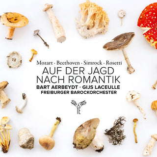 Freiburger Barockorchester- Auf Der Jagd Nach Romantik (PREORDER)