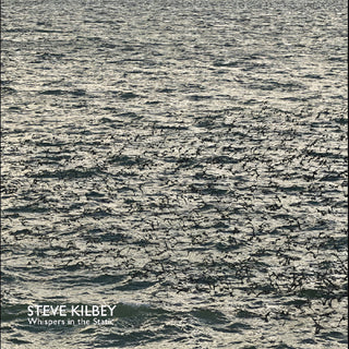 the album cover for Steve Kilbey - Whispers In The Static [Colored Vinyl] (Gry)