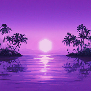 the album cover for Purple Disco Machine - Paradise [Limited Edition] (Ger)
