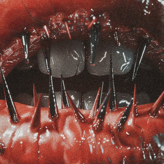 the album cover for Saltwound - The Temptation of Pain