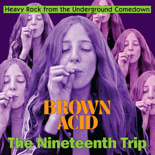 Various Artists- Brown Acid - The Nineteenth Trip (Various Artists)