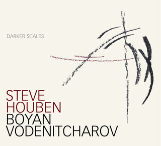 the album cover for Steve Houben & Boya - Darker Scales