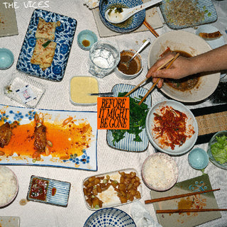 Vices- Before It Might Be Gone (CD)