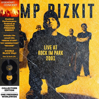 Limp Bizkit- Rock in the Park 2001