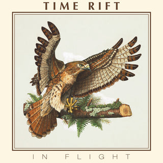 Time Rift- In Flight
