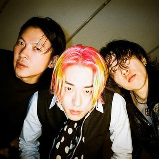 Snake Chicken Soup- More & More & More / Smash