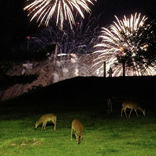 Home Is Where- Hunting Season - Green Vinyl