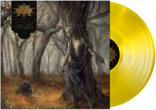 Fires in the Distance- Echoes From Deep November