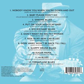 Big Joe Williams- Blues from the South Side