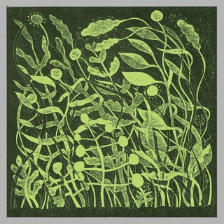 Kirk Barley- Lux (Vinyl)