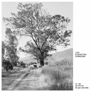 Gigantes Dormidos- Los Jardines De Mis Abuelos (Vinyl)