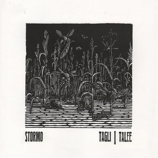 Stormo- Tagli/talee