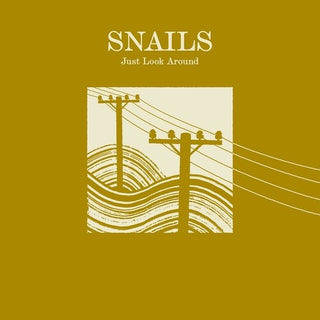 Snails- Just Look Around