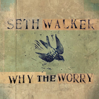 Seth Walker- WHY THE WORRY