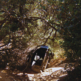 Ty Segall- Possession