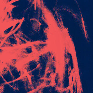 Rival Consoles- Landscape From Memory (Indie Exclusive)